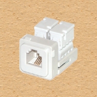 A96RJ88_Ổ cắm máy tính 8 &4 dây